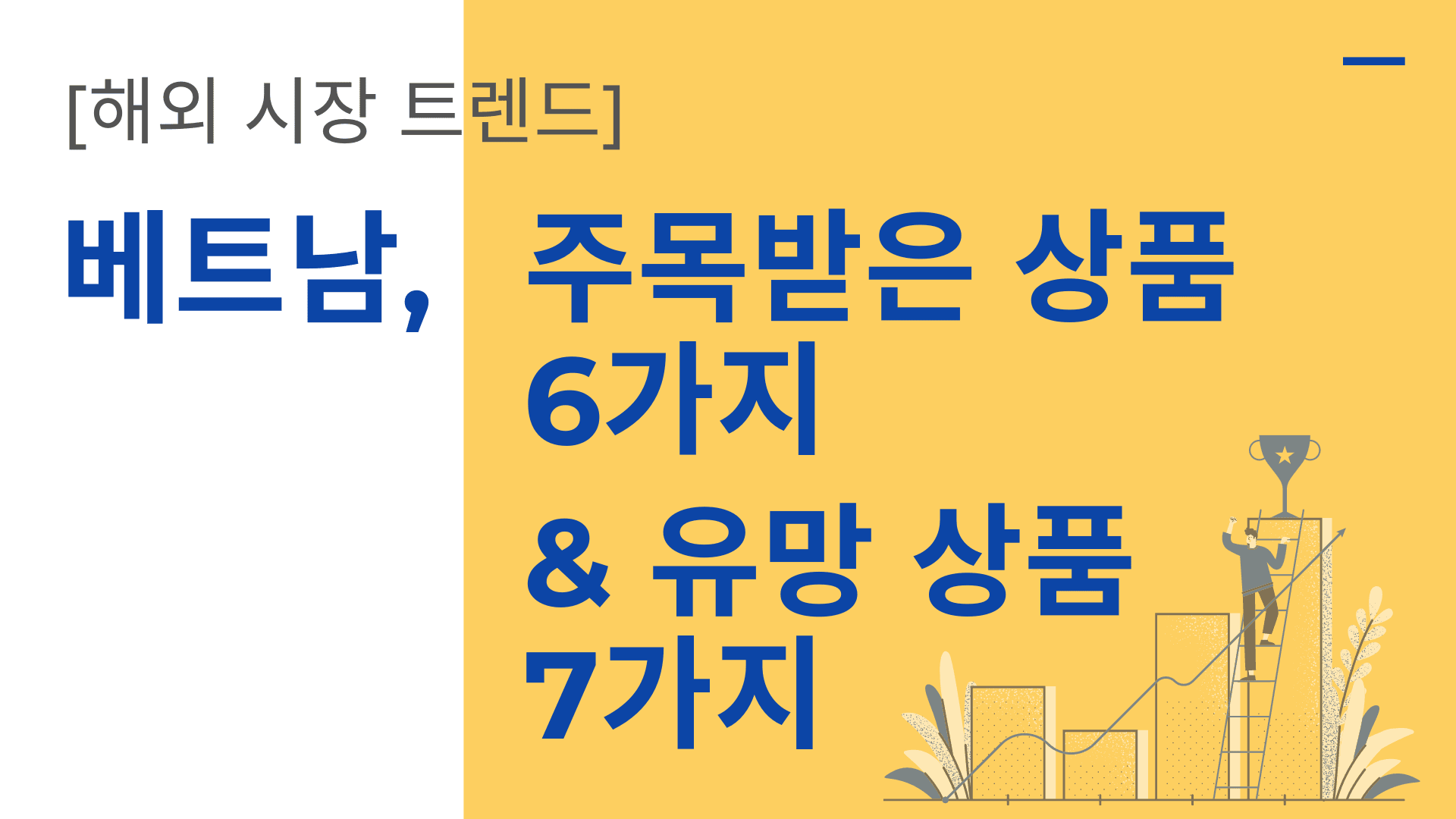 베트남, 주목받은 상품 6가지와 유망 상품 7가지